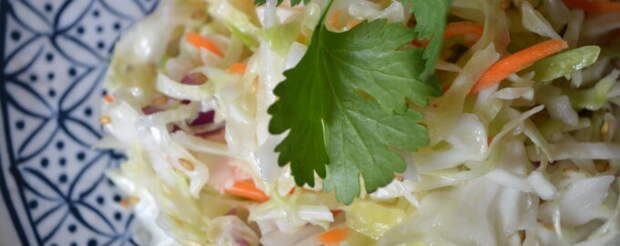 Салат из капусты на зиму вкусный рецепт с фото пошагово и видео