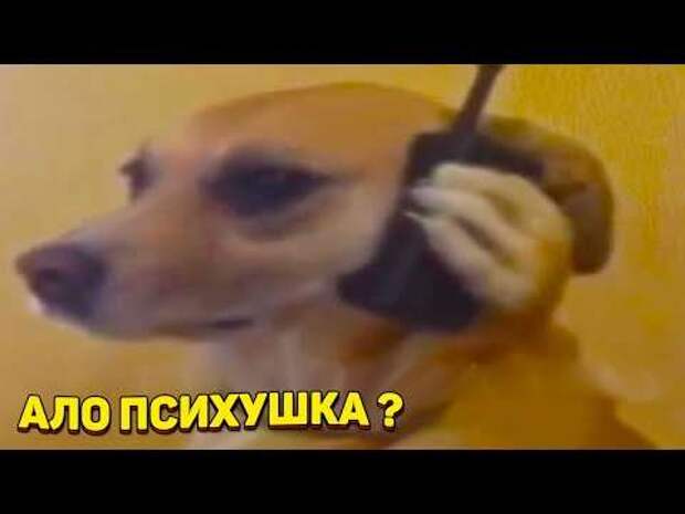 Предупреждающие таблички. Прикольные. Подборкаchert-poberi-tablichki-10270208062020-14 картинка chert-poberi-tablichki-10270208062020-14