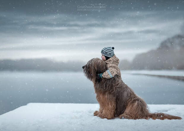 Мой лохматый друг Криспи. Фото: Andy Seliverstoff.