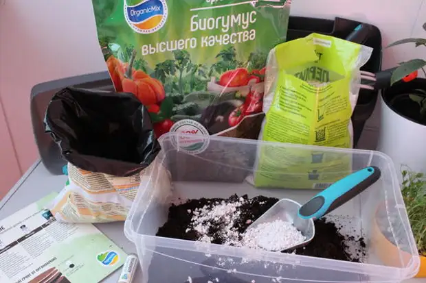 ���������� �������� ������������ ������