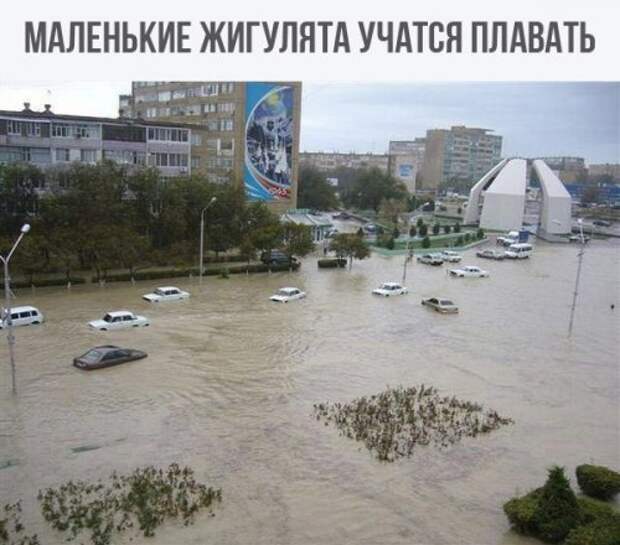 Свежие АВТОприкольные картинки