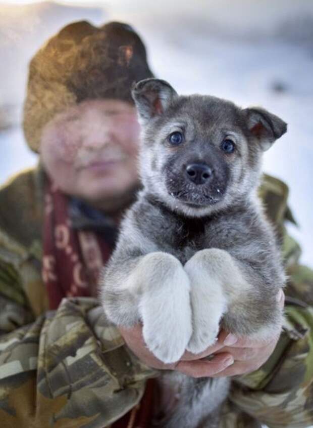 Добро пожаловать в самое холодное место на земле, где температура может упасть до –71 °С!