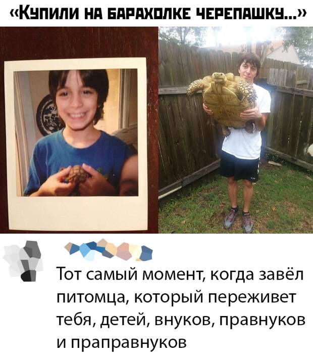 Подборка картинок (38 фото)