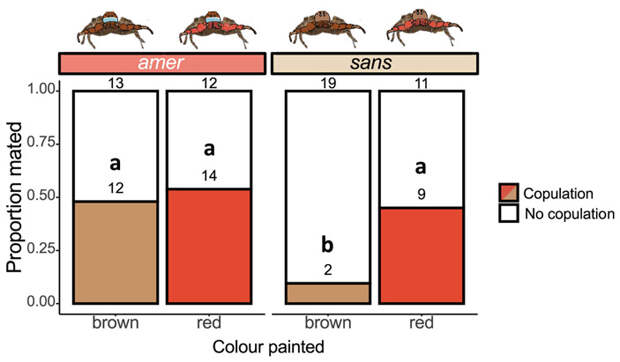 Рис. 5. Доля успешных спариваний для самцов, подвергшихся манипуляциям с цветом