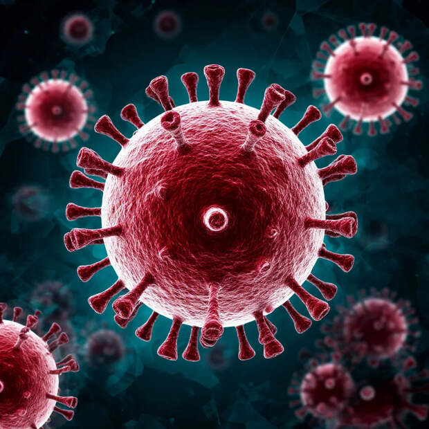 Вирус Нипах обладает коварной особенностью: угрозу можно заметить не сразу