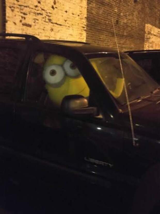 Прикольные картинки. Вечерний выпуск (53 фото)