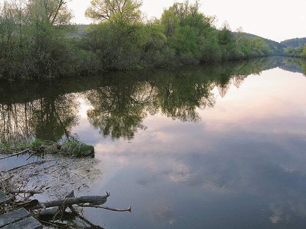 Под свисающими к воде ветками деревьев нередко стоят крупные голавли.