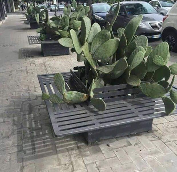 Когда архитекторы жаждут крови