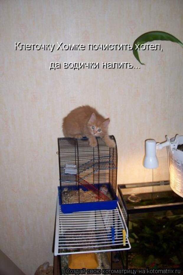 Мысли вслух :)