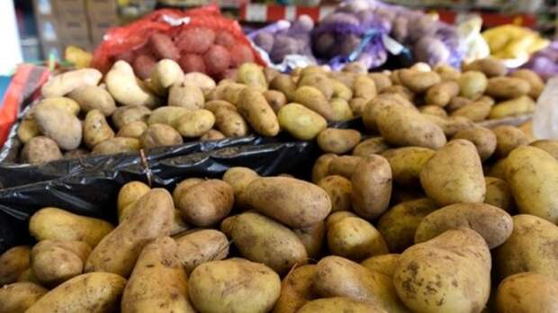 Украина пробивает очередное дно: в стране резко выросли цены на продукты