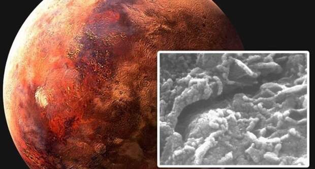 В метеорите с Марса ученые обнаружили «червей»