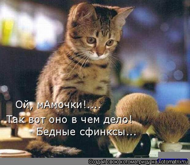 Котоматрица: Так вот оно в чем дело! Бедные сфинксы... Ой, мАмочки!....