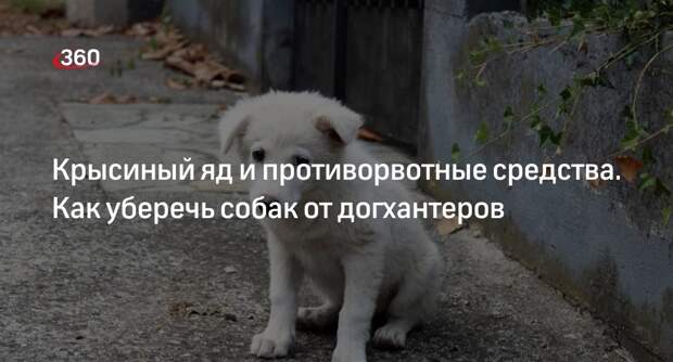 Зоозащитник Еремеева назвала догхантеров психически неуравновешенными людьми