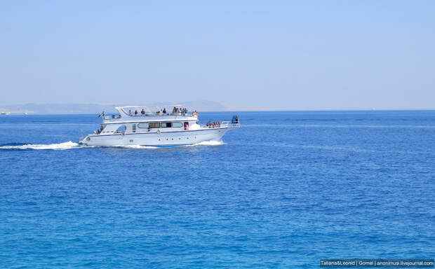 Красное море Красное море