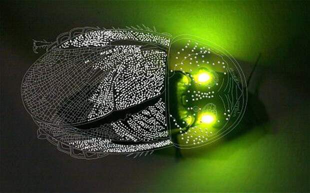 биолюминисцентный таракан