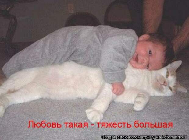 Свежая и прикольная котоматрица (32 фото)