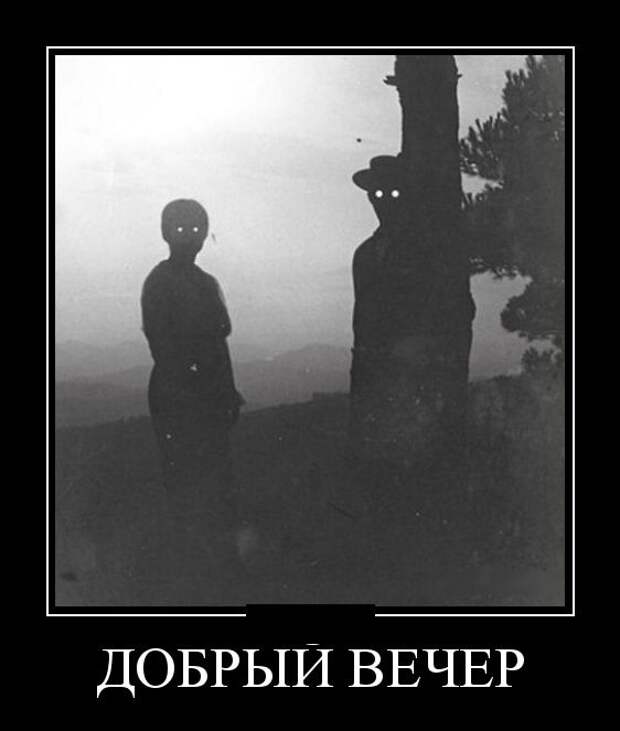 Демотиваторы (30 фото)