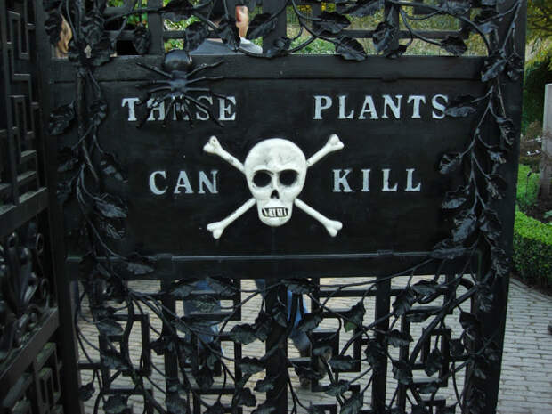 Ядовитый сад Альнвика, Англия 