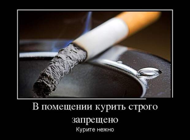 Демотиваторы демотиваторы, прикол, юмор