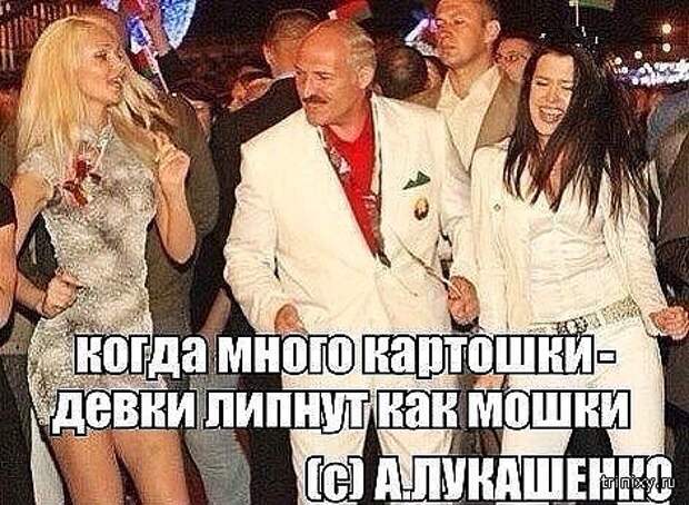 Пост хорошего настроения