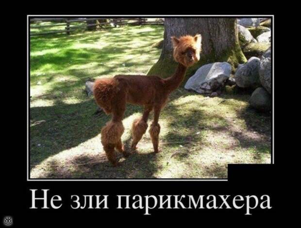 Расслабляйся осознанно! 34