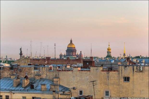 Прекрасный мир питерских крыш