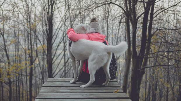 А что лично Вы хотите получить в итоге? Фото Marek Szturc/Unsplash А что лично Вы хотите получить в итоге? Фото Marek Szturc/Unsplash