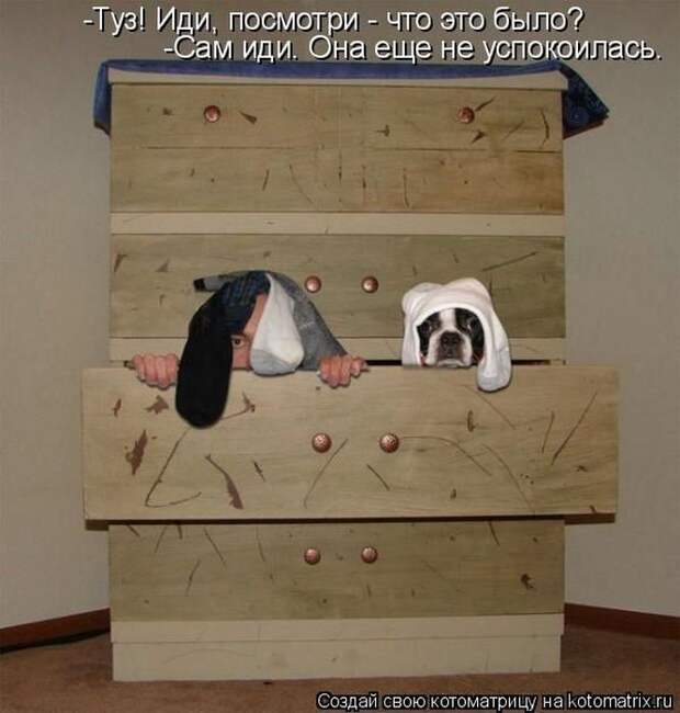 Мысли вслух :)
