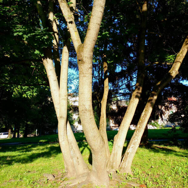 20250723_190444.jpg 20250723_190444.jpg