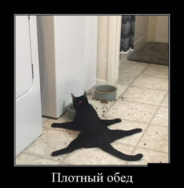 Сборник демотивационных приколов Сборник демотивационных приколов
