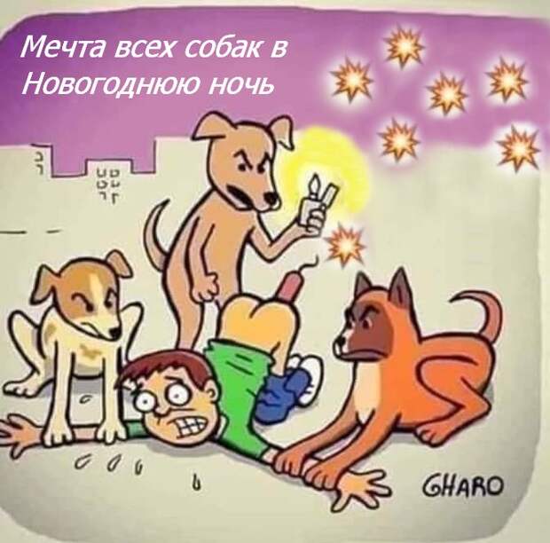 Что будем делать на Новый год? Водку пить...