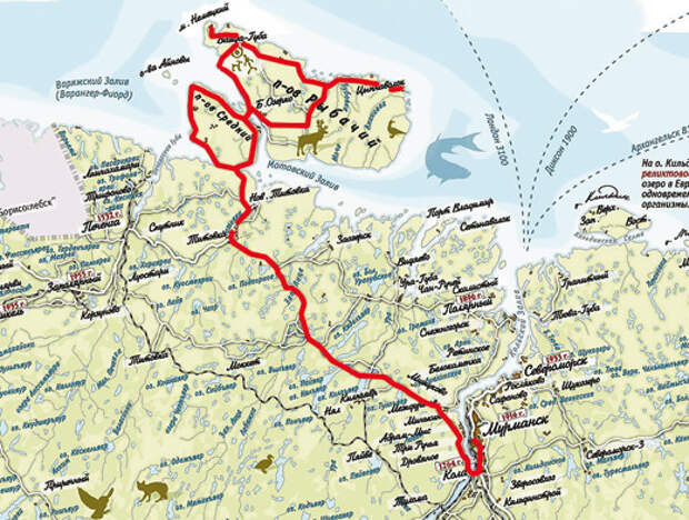 Полуостров средний карта. Зубовская губа полуостров Рыбачий. Дорога Мурманск полуостров Рыбачий. Мыс Рыбачий Кольский полуостров. Полуострова: Кольский, Канин, Рыбачий;.