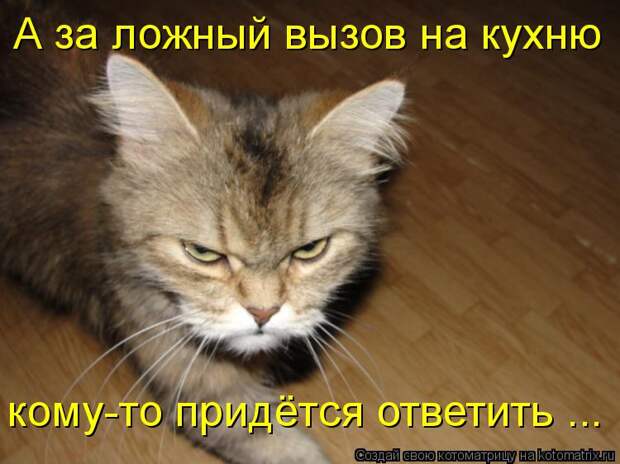 Котоматрица: А за ложный вызов на кухню кому-то придётся ответить ...