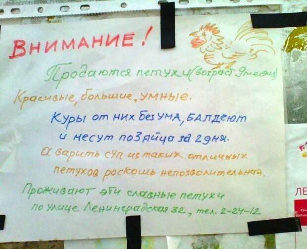 Смешные надписи и объявления надписи, объявления, смешные, юмор