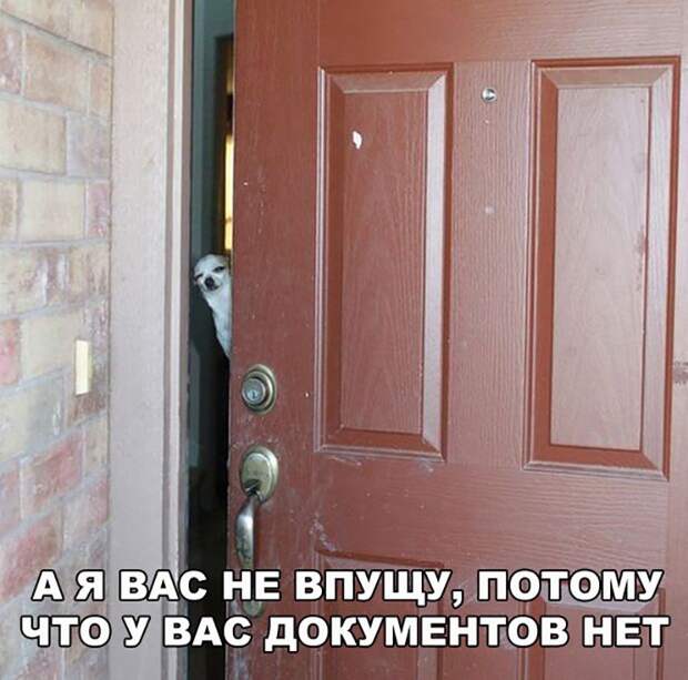 Лифчик с подкладками — как пакет с чипсами...