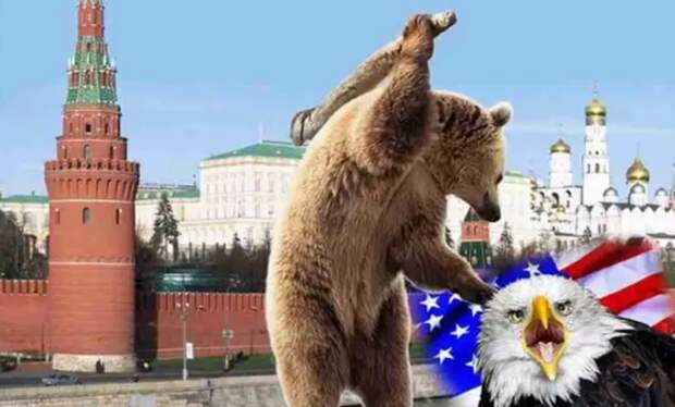 Дубина против тонкой нервной организации… Русские опять играют не по правилам