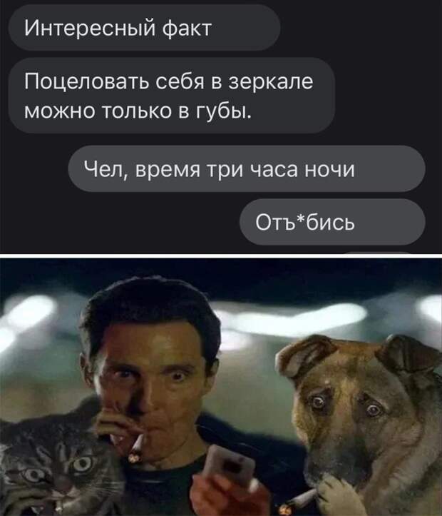 Смешные картинки 7 декабря 2021 года