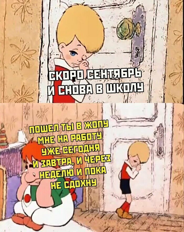 Тем временем Тем временем первое сентября, подборка, пора в школу, прикол, учёба, школа, юмор
