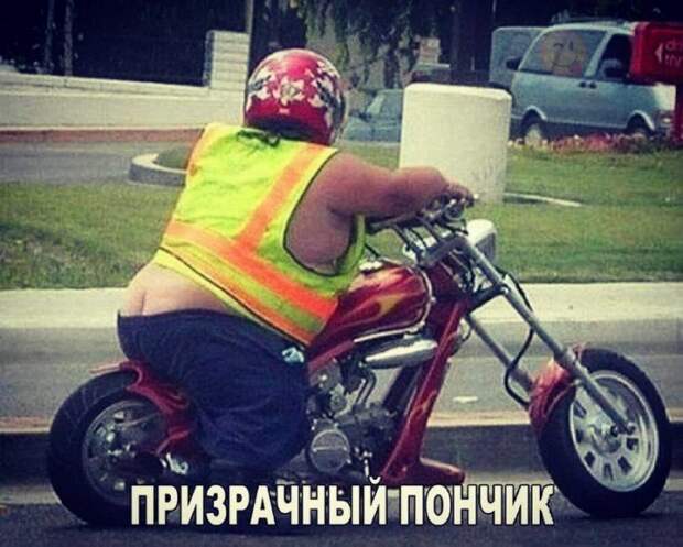 Весна идет - весне дорогу! Весна идет - весне дорогу!