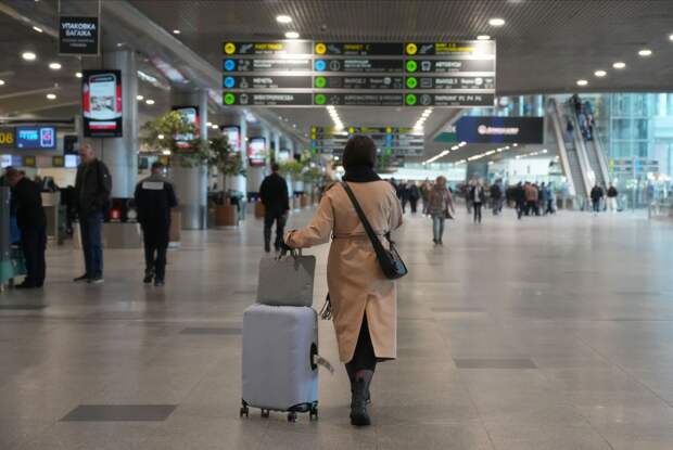 В аэропорту Домодедово сняли временные ограничения на полеты