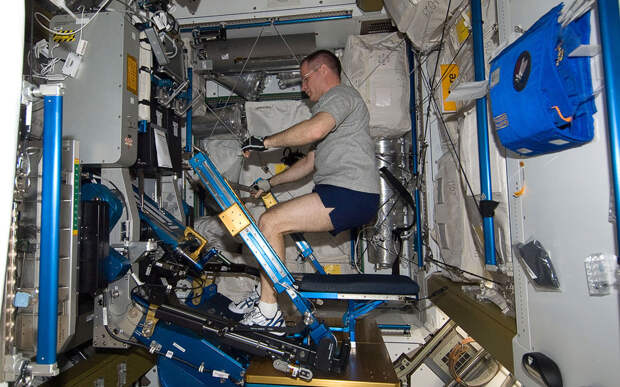 Командир 34-й экспедиции на МКС астронавт НАСА Кевин Форд в «спортзале» станции