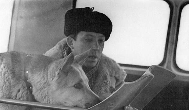 Юрий Никулин и овчарка Гек во время съемок фильма «Ко мне, Мухтар!», фотография Б. Виленкина, 1964 год. интересное, история, кино, собаки