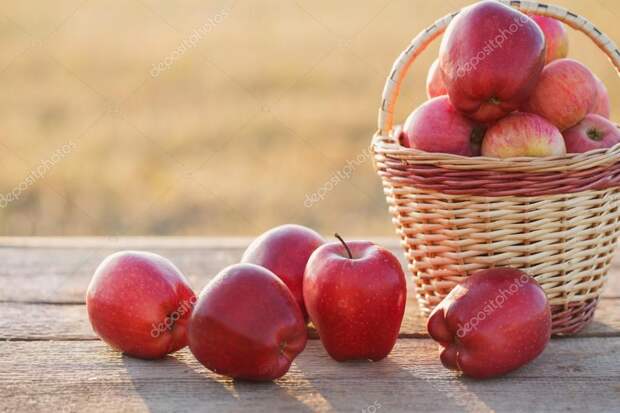 Image result for ÑÐ±Ð»Ð¾ÐºÐ¸ Ð½Ð° ÑÑÐ¾Ð»Ðµ
