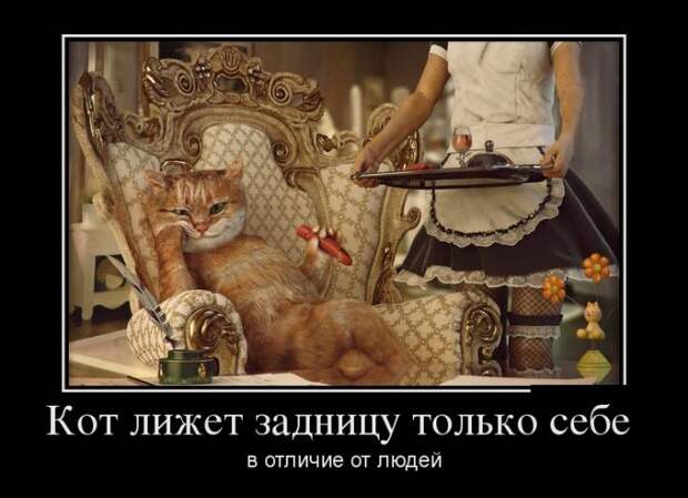 Смешные и веселые демотиваторы со смыслом (11 фото) Смешные и веселые демотиваторы со смыслом (11 фото)