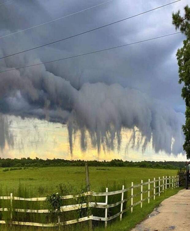Это называется скад-облака. Южная Каролина