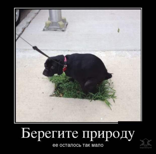 Демотиваторы