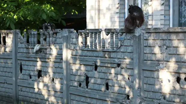 Киев назвал условие снятия блокады Донбасса