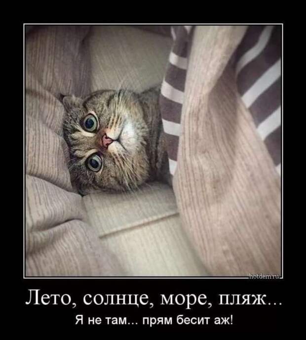 Прикольные демотиваторы с надписями. Подборка chert-poberi-dem-chert-poberi-dem-31530217102020-14 картинка chert-poberi-dem-31530217102020-14