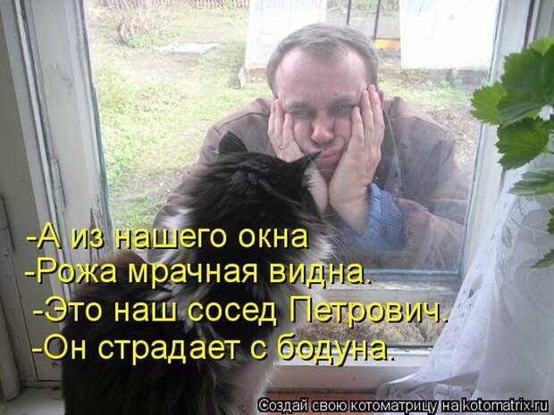 Лучшие котоматрицы недели (50 фото) Лучшие котоматрицы недели (50 фото)