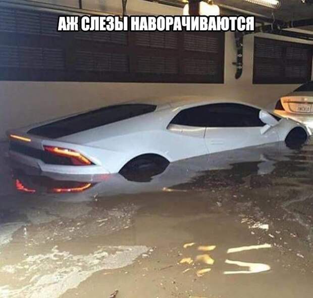 АВТОМОБИЛЬНЫЕ ПРИКОЛЫ. ПОЗИТИВНАЯ ПОРЦИЯ